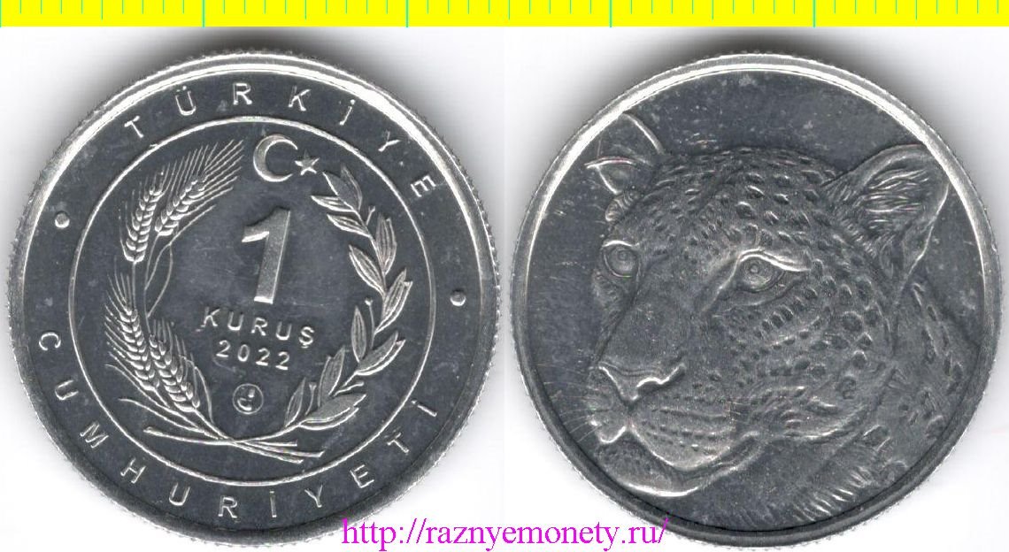 Турция 1 куруш 2022 год - ЯГУАР - кошки