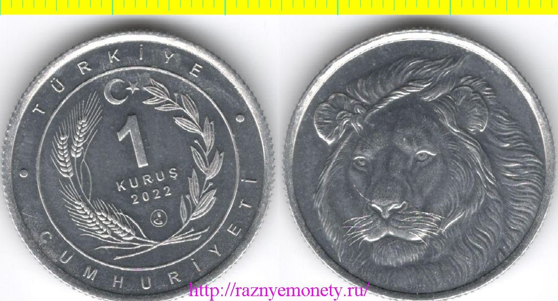 Турция 1 куруш 2022 год - ЛЕВ - кошки