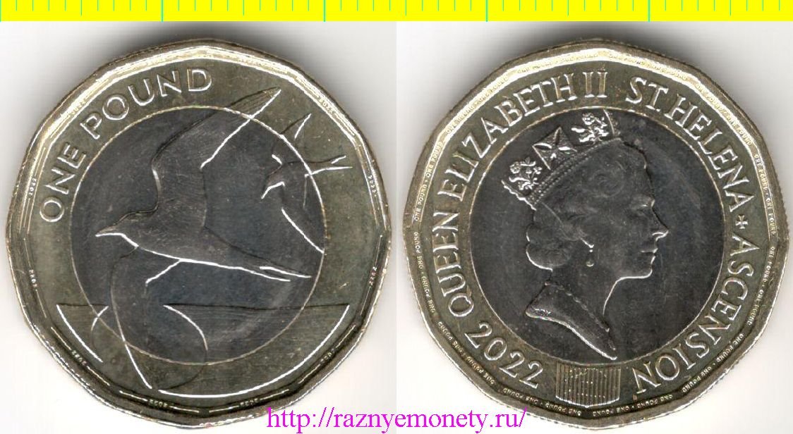 Святой Елены и Вознесения остров 1 фунт 2022 год - Тёмная крачка (Елизавета II) нечастая