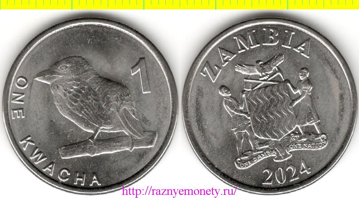 Замбия 1 квача 2024 год