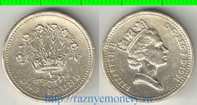Великобритания 1 фунт (1986, 1991) (Елизавета II) (Северная Ирландия - Цветущий лён)